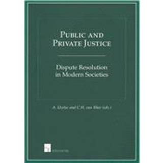 Public and Private Justice