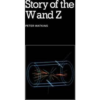 Story of the W and Z