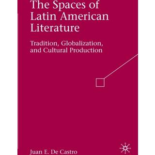 The Spaces of Latin American Literature