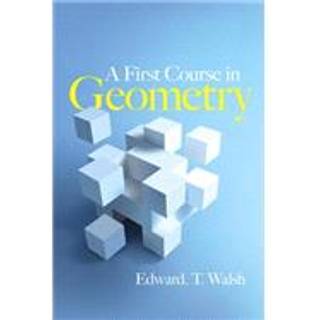 A First Course in Geometry (Physical)
