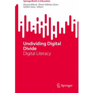 Undividing Digital Divide
