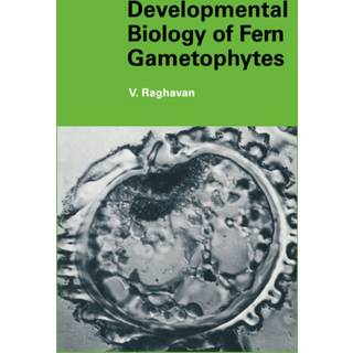 Developmental Biology of Fern Gametophytes