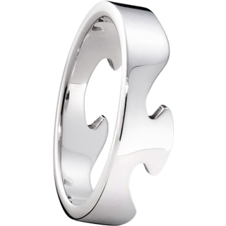 Georg Jensen Fusion Endering