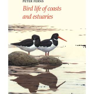 Bird Life of Coasts and Estuaries