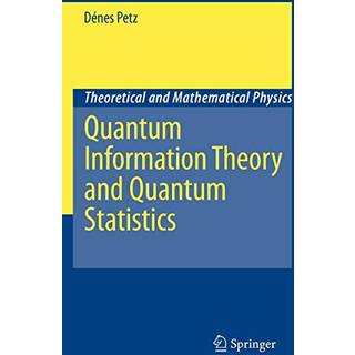 Quantum Information Theory and Quantum Statistics