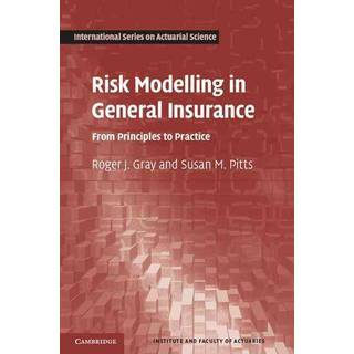 Risk Modelling in General Insurance