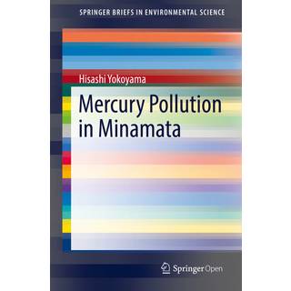 Mercury Pollution in Minamata