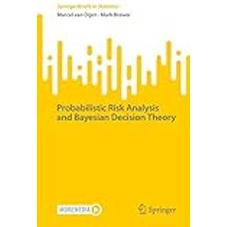 Probabilistic Risk Analysis and Bayesian Decision Theory