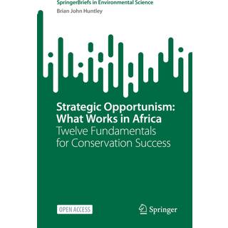 Strategic Opportunism: What Works in Africa