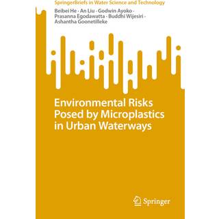 Environmental Risks Posed by Microplastics in Urban Waterways
