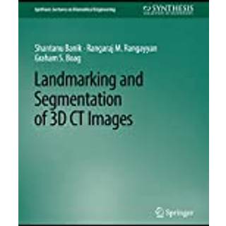 Landmarking and Segmentation of 3D CT Images