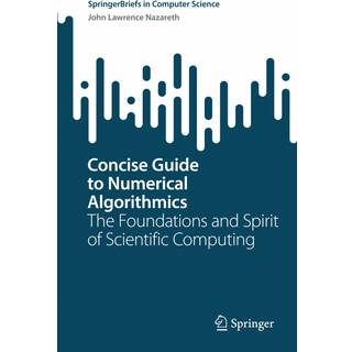 Concise Guide to Numerical Algorithmics