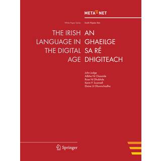 The Irish Language in the Digital Age
