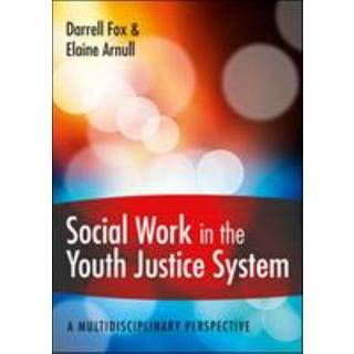 Social Work in the Youth Justice System: A Multidisciplinary Perspective