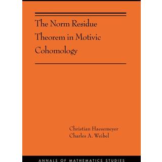 The Norm Residue Theorem in Motivic Cohomology
