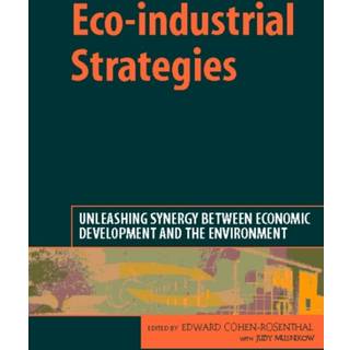 Eco-industrial Strategies