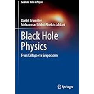Black Hole Physics