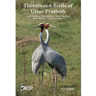 Threatened Birds of Uttar Pradesh