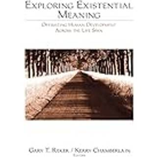 Exploring Existential Meaning