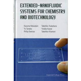 Extended-nanofluidic Systems For Chemistry And Biotechnology