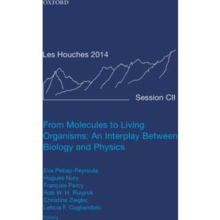 From Molecules to Living Organisms: An Interplay Between Biology and Physics