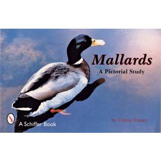 Mallards