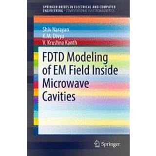 FDTD Modeling of EM Field inside Microwave Cavities