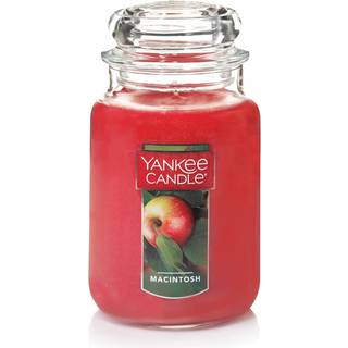 Yankee Candle Macintosh duftende klassiker 22 oz stor krukke enkelt v?ger stearinlys over 110 timers forbr?ndingstid