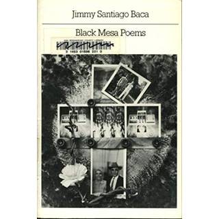 Black Mesa Poems