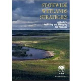 Statewide Wetlands Strategies