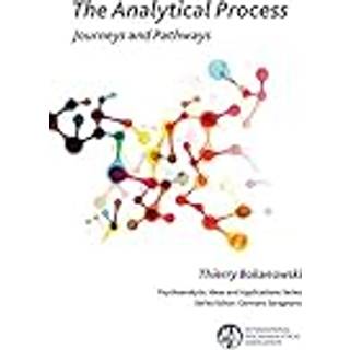 The Analytical Process