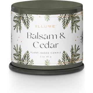 Duftlys Vanity Tin (Grannåle, Kanel & Egetræsmos)