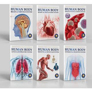 Knowledge Encyclopedia For Children: Human Body