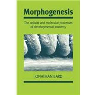 Morphogenesis