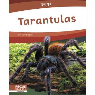Tarantulas