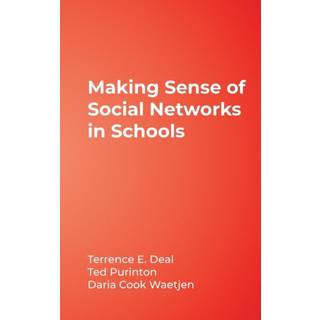 Making Sense of Social Networks in Schools