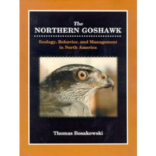 Northern Goshawk