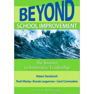 Beyond School Improvement