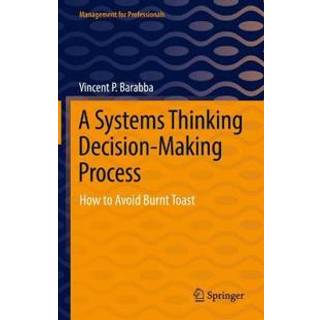 A Systems Thinking Decision-Making Process