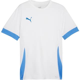 PUMA teamGOAL Matchday Trænings T-shirt Herre