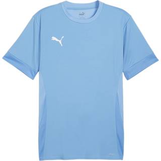PUMA teamGOAL Matchday Trænings T-shirt Herre