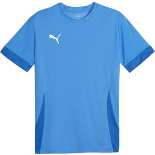 Puma teamGOAL Matchday T-shirt Voksen