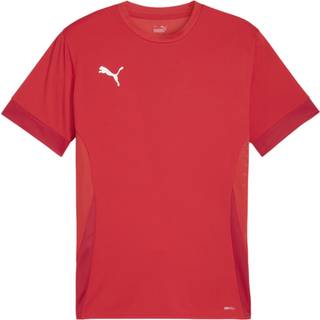 Puma teamGOAL Matchday T-shirt Voksen