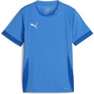 Puma teamGOAL Matchday T-shirt Børn