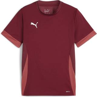 Puma teamGOAL Matchday Jersey jr, 128, Mørkerød