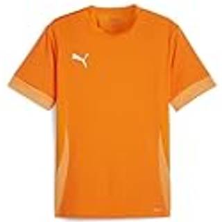 PUMA teamGOAL Matchday Trænings T-shirt Herre