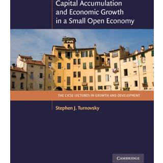 Capital Accumulation and Economic Growth in a Small Open Economy