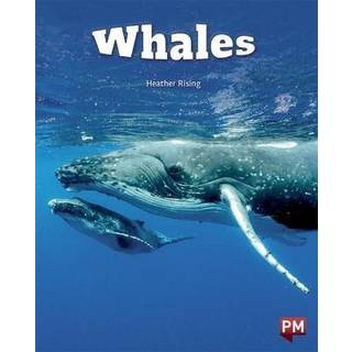 WHALES