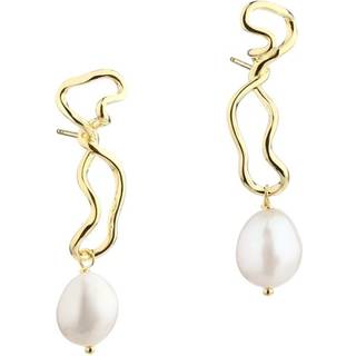 CURLY BODIL EARSTUD | GOLDEN