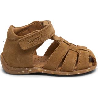 Bisgaard Carly - brandy